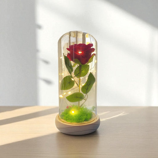 🌹Cúpula Rosa Encantada con Luz