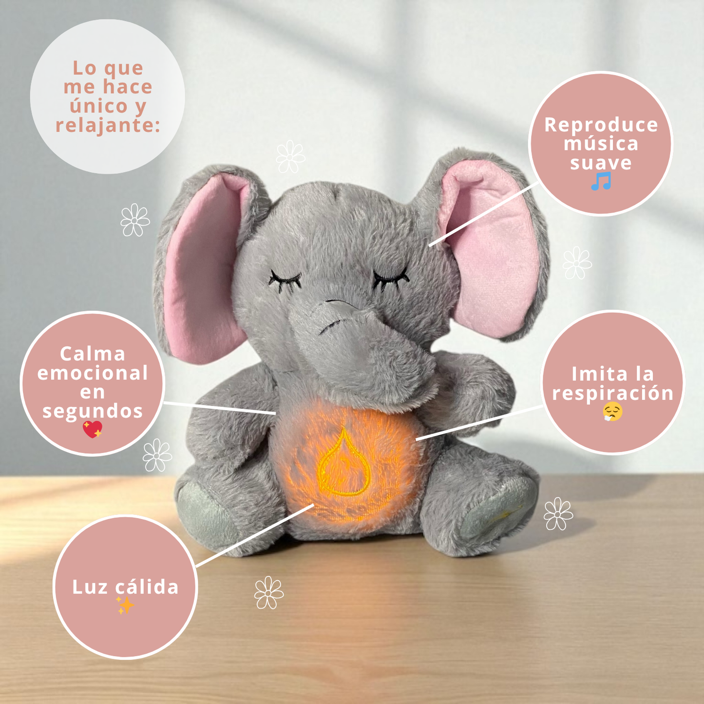 🐘✨ Elefante Sereno