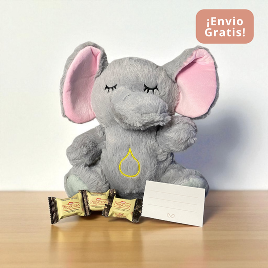 🐘✨ Elefante Sereno