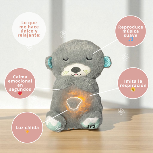 🦦💤 Nutria Serena