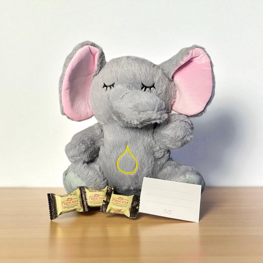 🐘✨ Elefante Sereno